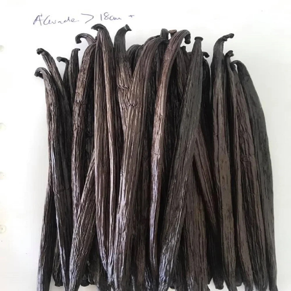 QUALITY PLANIFOLIA VANILLA BEANS Hot Selling Indonesian Good Quality Bourbon Vanilla Pods with Reasonable Best Price