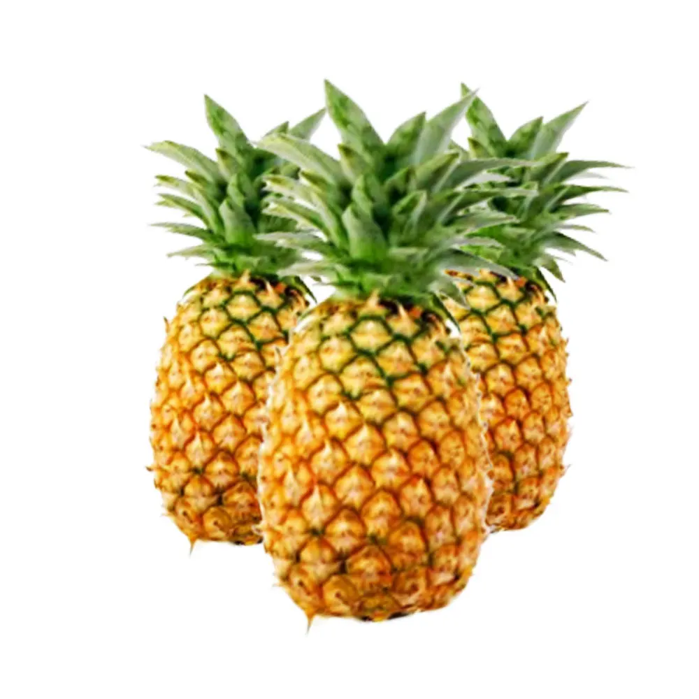 
High Quality Pineapple 