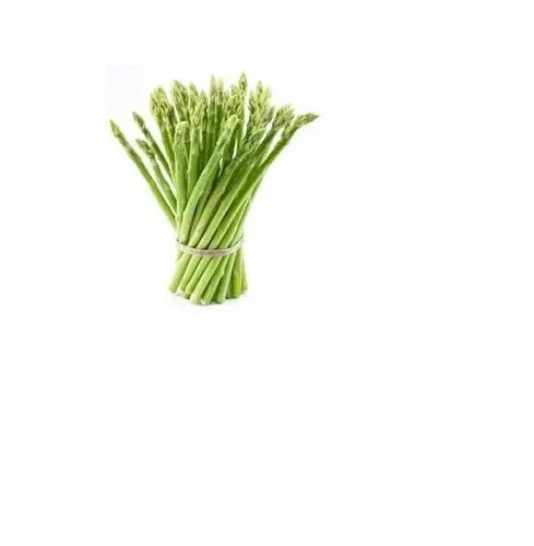 
Best Quality Fresh Asparagus for Sale 