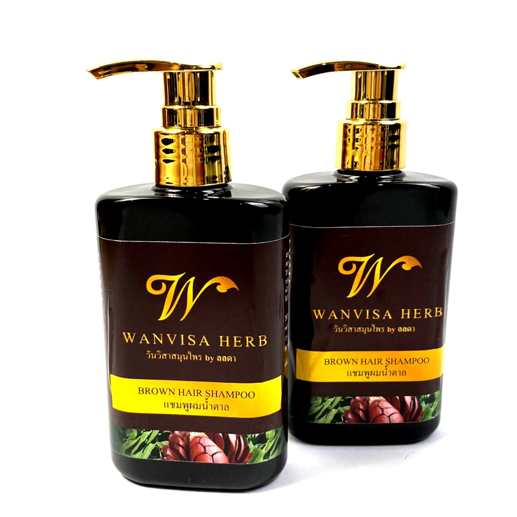 Smoothing Nourishing Hair-Loss Prevention Herbal Brown Color Shampoo From Thailand With Reasonable Price