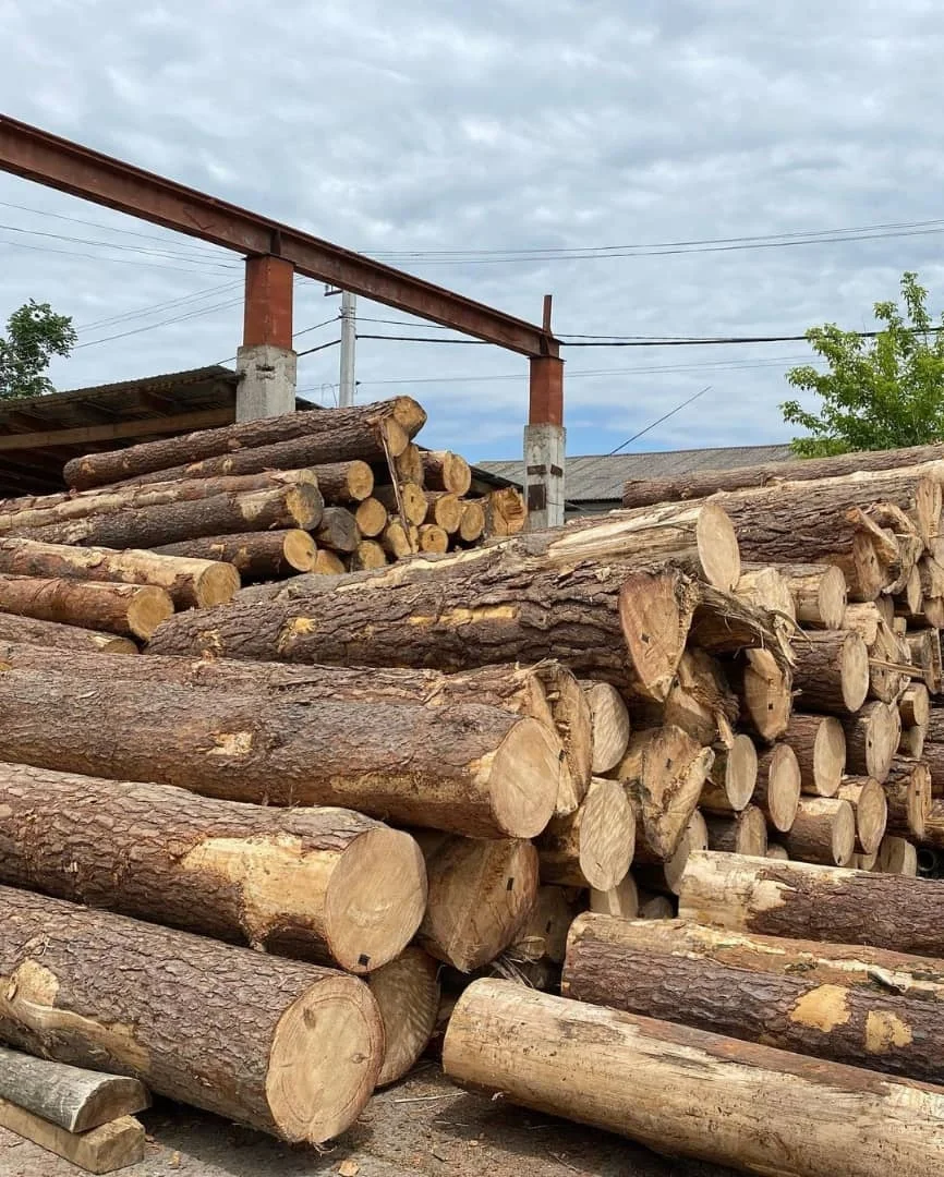 Factory Hot Selling Construction Use Cedar Sawn Wood 2x4 Clear Pine Lumber