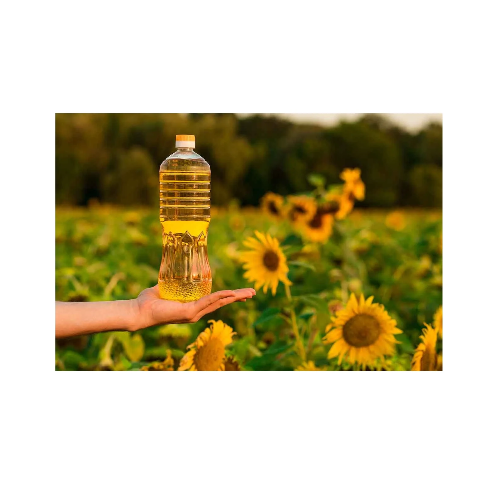 Best Price Refined Sunflower Oil Available In Bulk