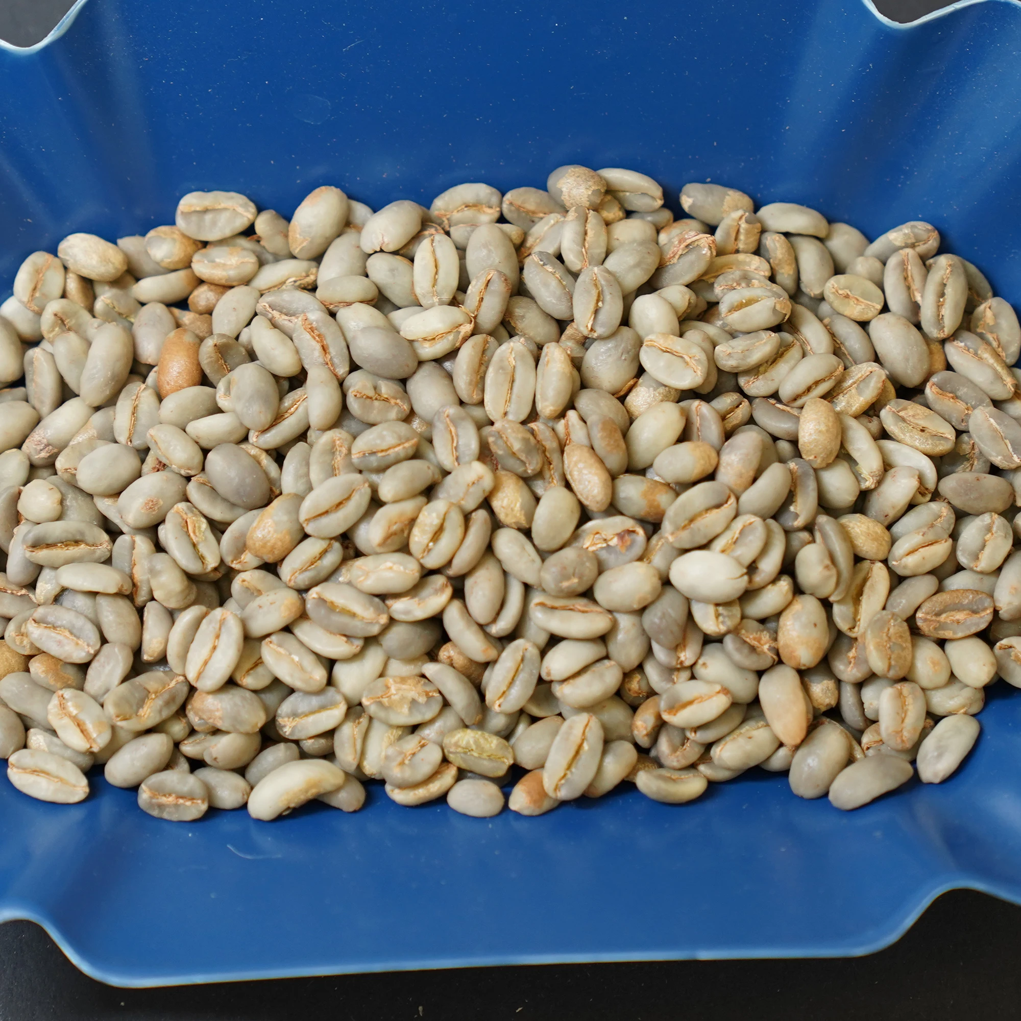 
EthioCo GmbH (Ltd) - Ethopian Yirgachaffe Grade 1 Natural Green Raw Fair Coffee 