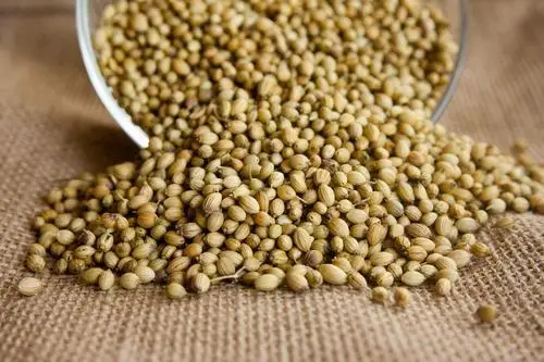 coriander seeds whole premium quality eagle india wholesale price