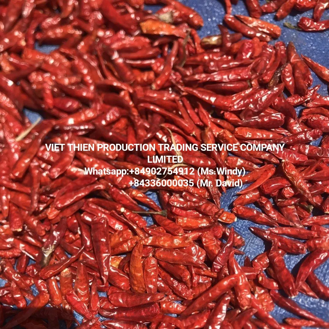 Red chili pepper dried from Vietnam is in main season at the best price and the best quality is export
