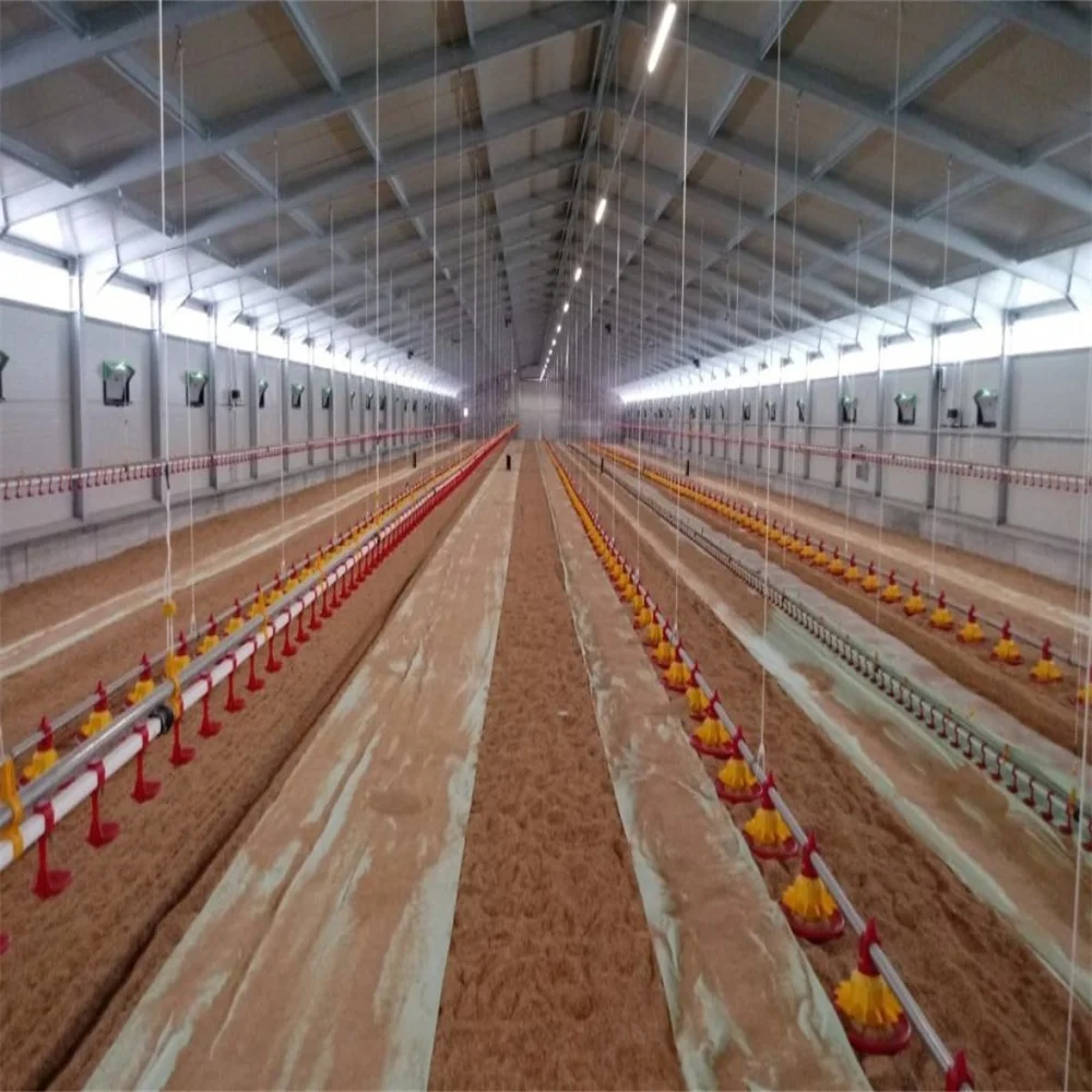 Китай стальная конструкция слойный сарай сборная птицеферма куриный дом на
