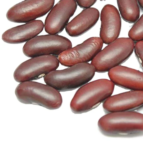 Red Kidney Beans  Yunnan Red Kidney Beans For Canned Purple Kidney Bean for sale
