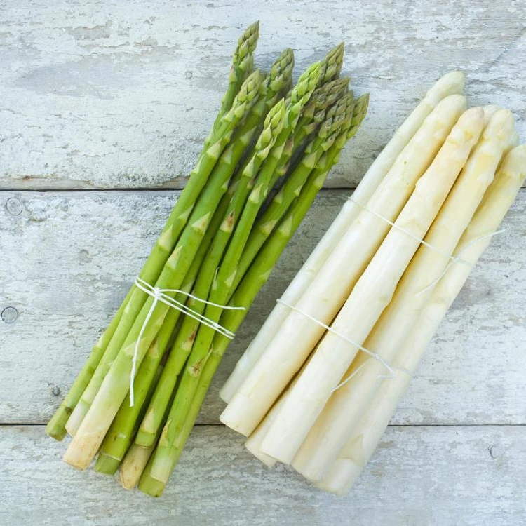 FRESH ASPARAGUS / FROZEN ASPARAGUS - MS. ELAINE +84 375 431 541