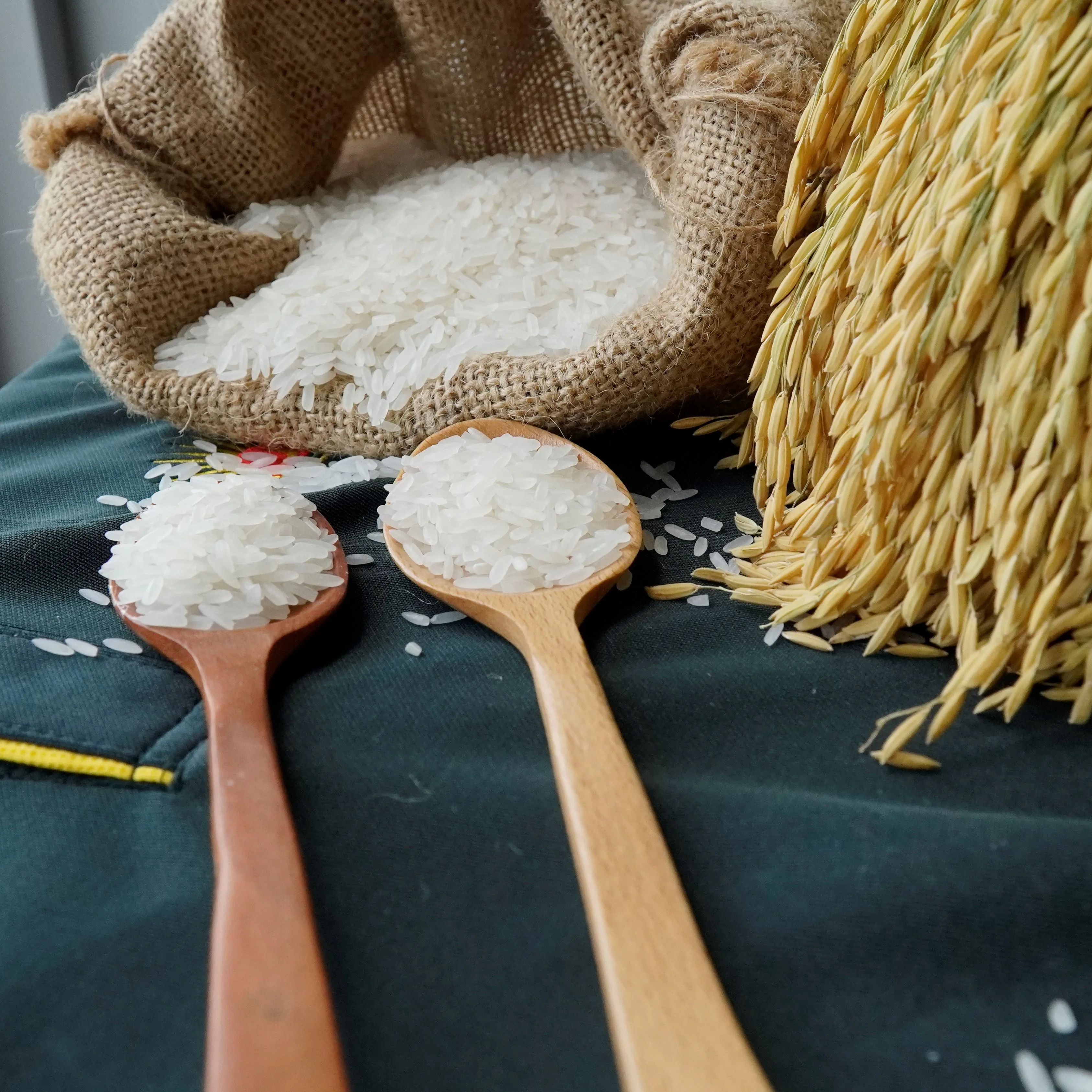 Soft Texture And Perfume Sweet Kind Jasmine Rice and Long Grain Fragrant Rice from Vietnam Best Supplier