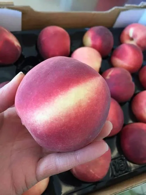 Натуральный Свежий Камень фрукты класса А свежие персики