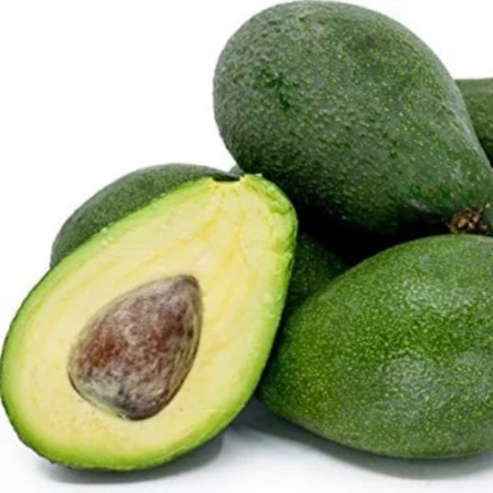 
2021 HASU New Crop Best Choice High quality Fresh Avocado Shipping from Vietnam 