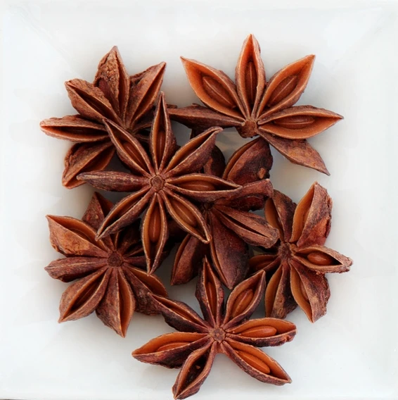 2021 Wholesale Viet Nam Factory Supplier Natural star anise Best Quality For Seasoning Harmless Healthy for SALE