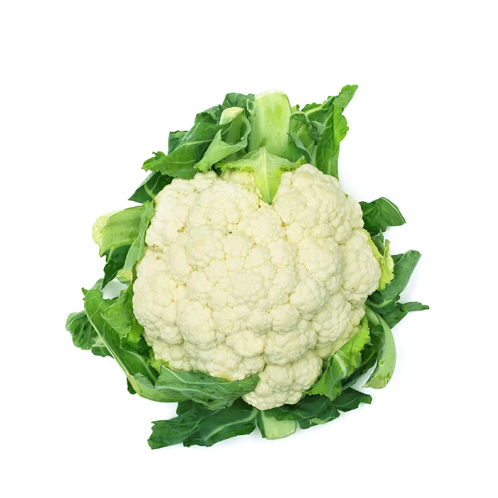 
Viet Nam 100% Maturity 90cm Size Super Big Organic New Crop High Quality Fresh White Cauliflower 