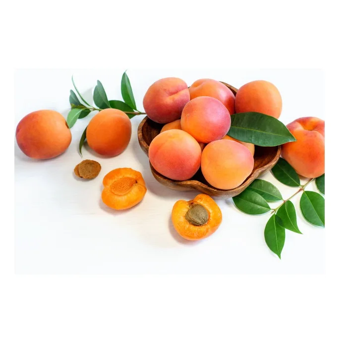 
Top Quality Fresh Apricots for sale At Cheapest Wholesale Price in Bulk Quantity 