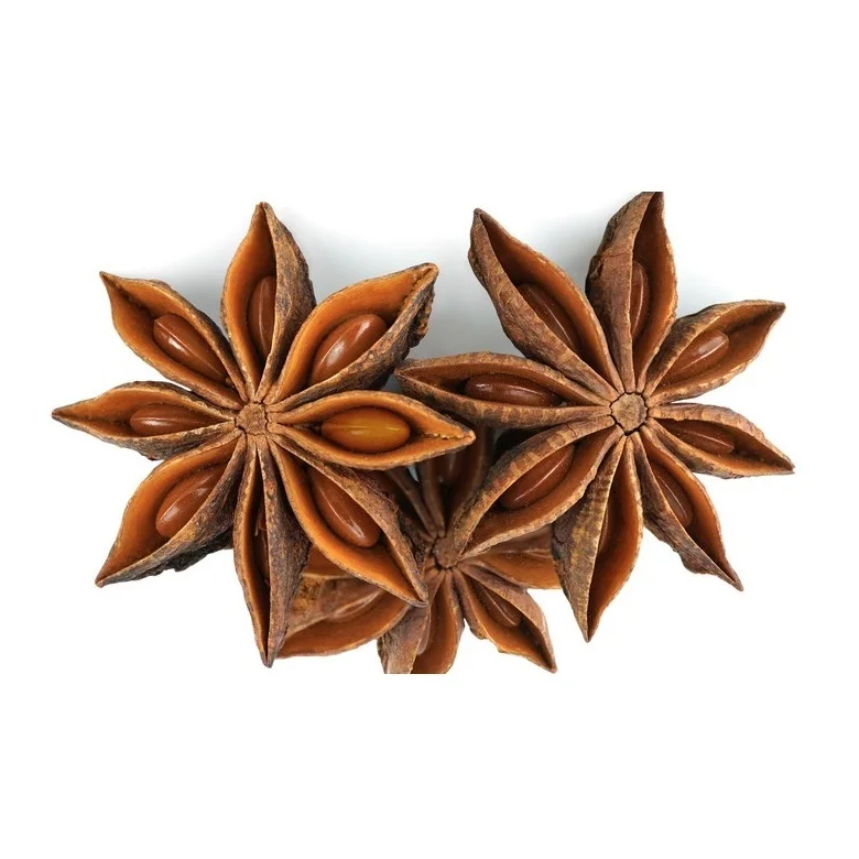 Bulk Selling Natural Brown Dried Style Raw Processing Whole Star Anise Collected for Craft Highest Quality