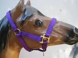 low price  Nylon Halter Sports & Entertainment>Outdoor Affordable Luxury Sports>Horse Racing>Halters