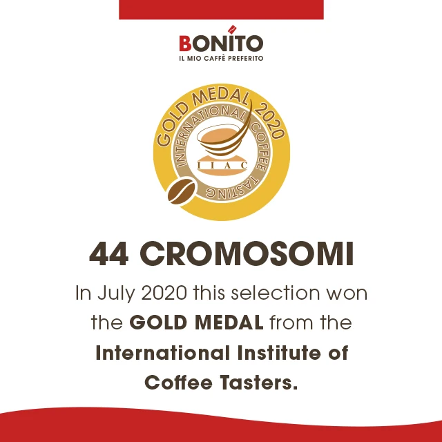 Cialde caffe Bonito italian best quality coffee 18 brazilian roast arabica coffee pods box