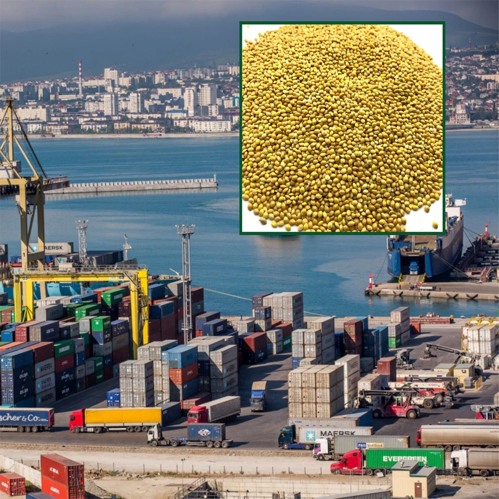 Высококачественные органические пакеты из проса 25 кг, продукт из России