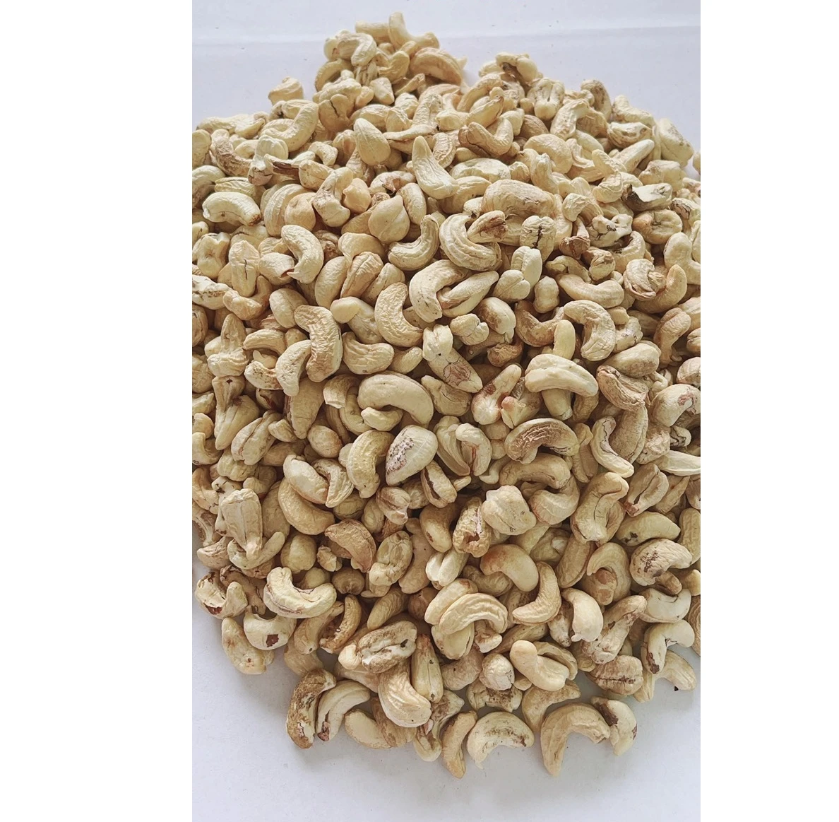 Premium quality Vietnam cashewnut COMMON cashew nuts w240 nuts packaging box cashew nuts roasted on Sale