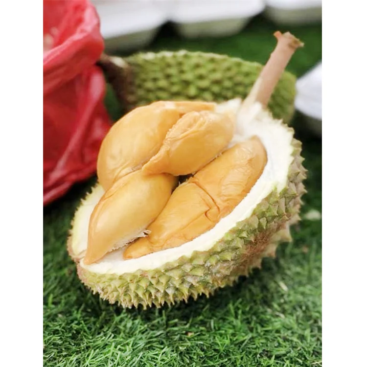 Top Pick Product Durian D13 Fresh Pluck Frozen Durian For Sale From Malaysia Supplier Retail Store Bulk Buy