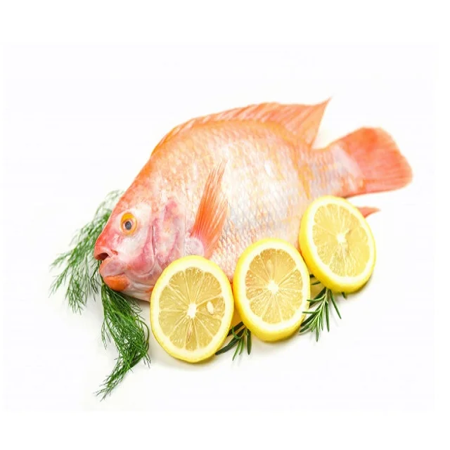 Seafood Fresh Frozen Red Tilapia Fish Red Snapper Tilapia Fish for Tilapia Fish Red Buyers