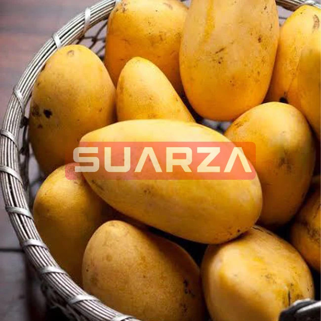 Farm Fresh Raw Carabao mango at lowest price  with best  quality / Premium quality Fresh Mango for export