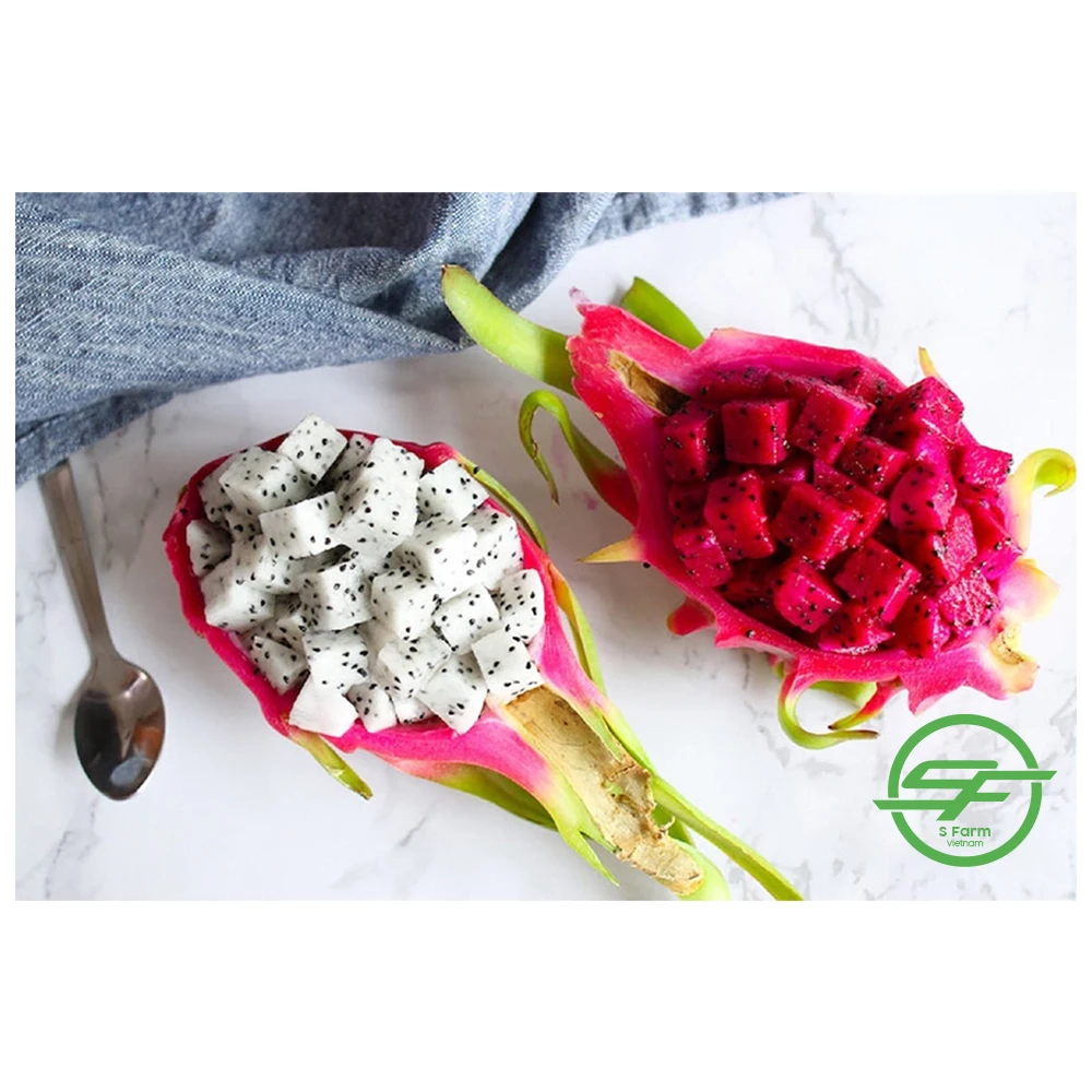 Fresh White Dragon Fruit from Vietnam with standard quality and best price high quality for export White flesh ready to shipping
