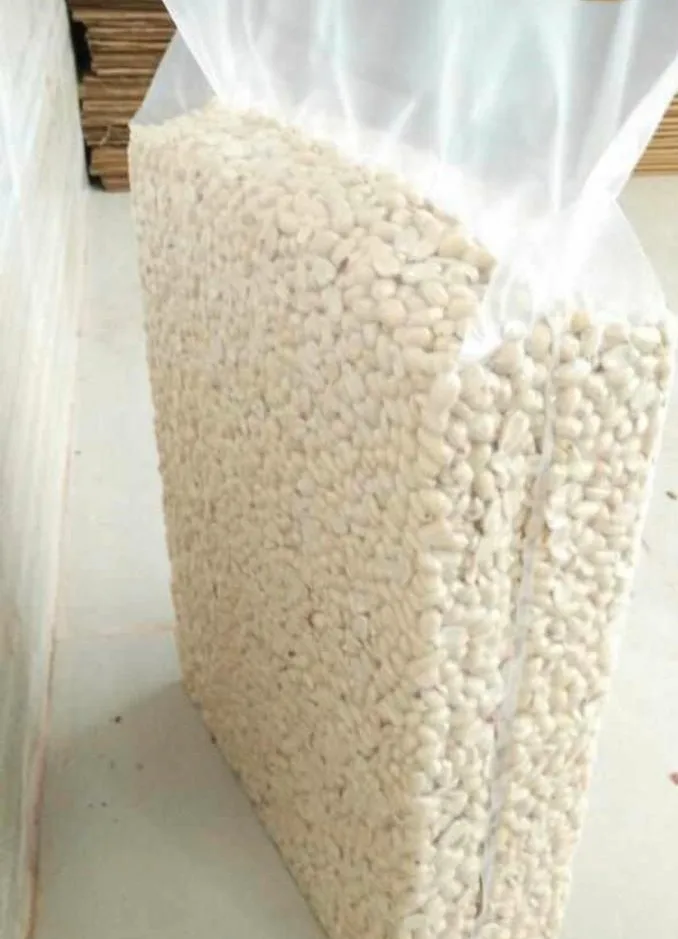 
Blanched peanut whole high quality india origin 40/50 , 50/60 roasted or blanched peanut whole 