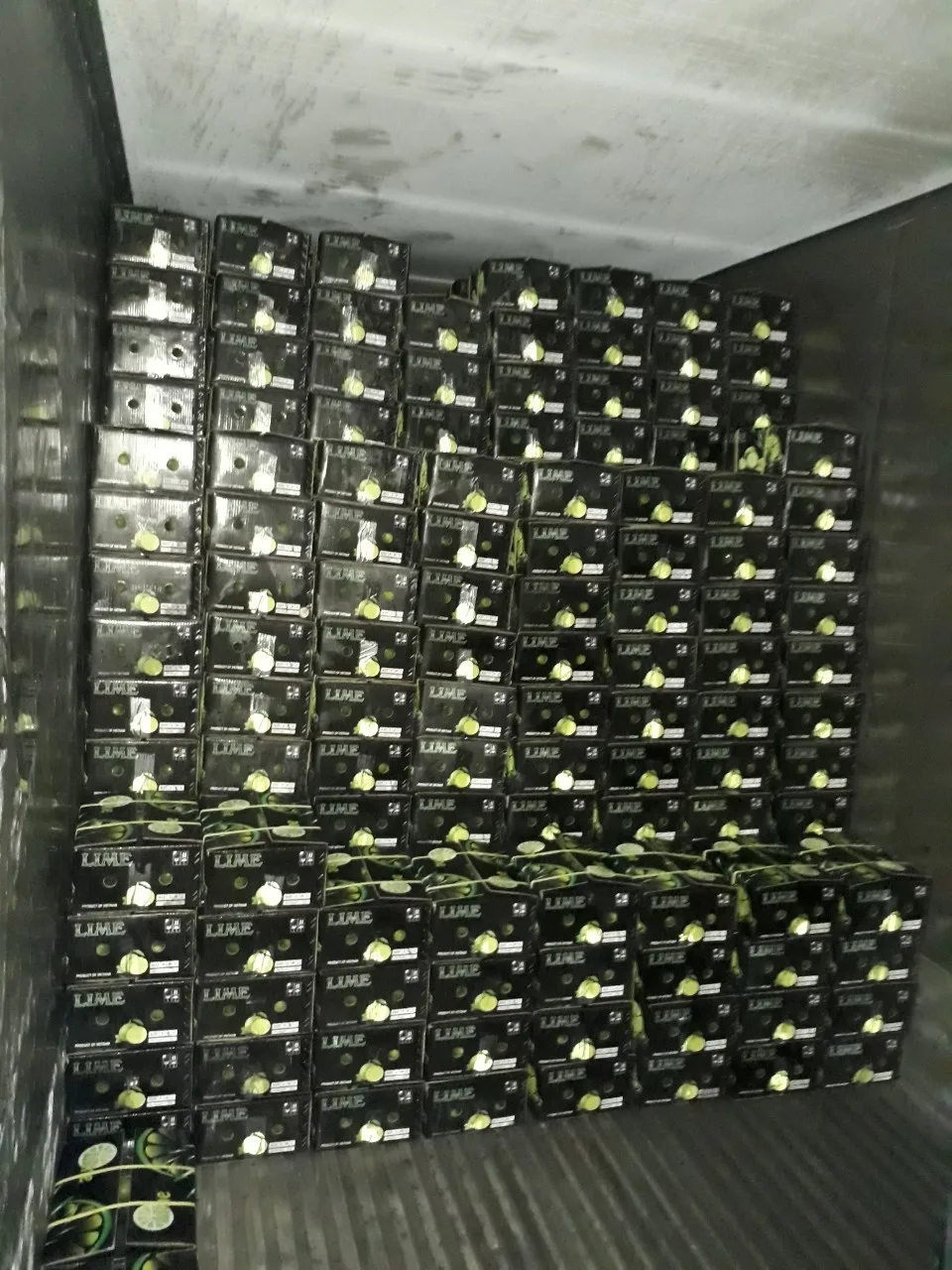 fresh_lemon (9).jpeg