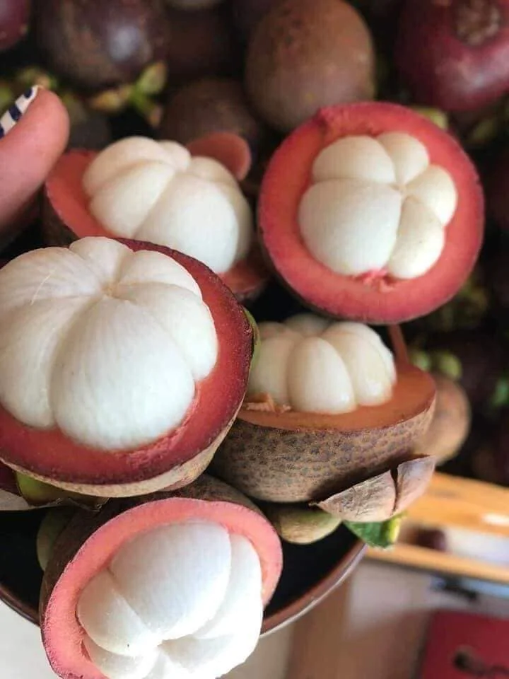 Grade Premium Fresh MANGOSTEEN Fruit from VIETNAM MS KATHY +84 896650714