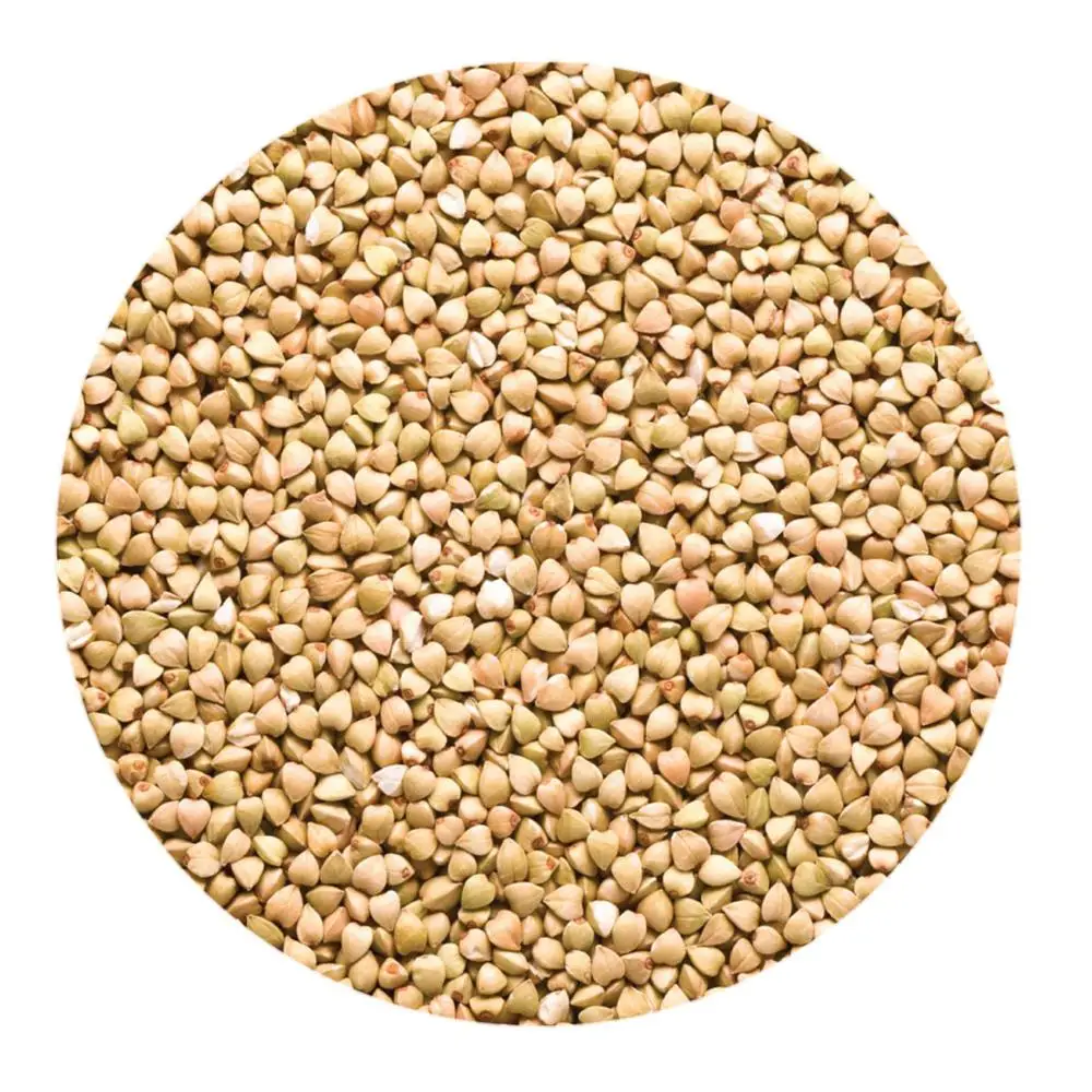 Wholesale Buckwheat Grains