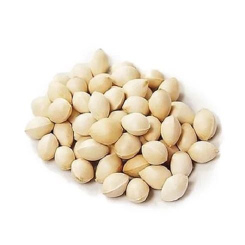 Ginkgo Nuts Good Quality forte Nuts Peeled raw dried Quality Raw Ginkgo Nuts / Kernels with shell and Without shell