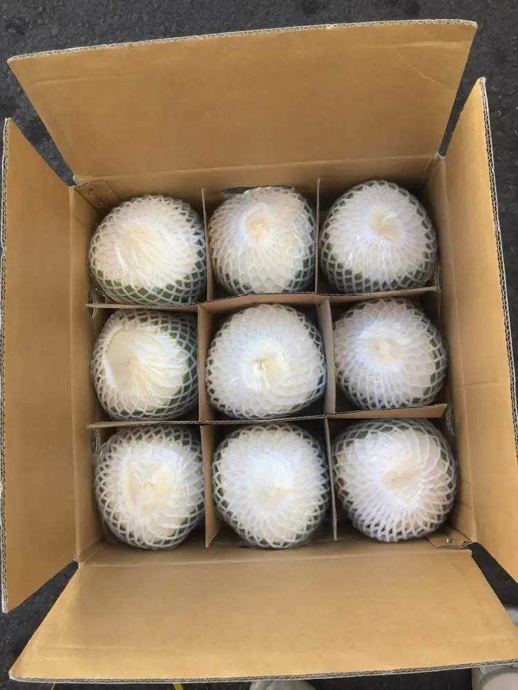 
FRESH GREEN COCONUT/ FRESH YOUNG COCONUT 