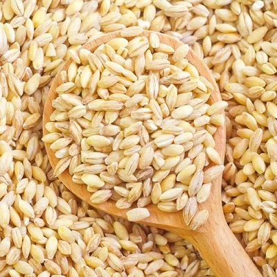 
barley (Human Consumption) / barley (Animal Feed) 