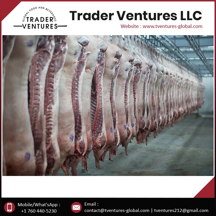 Brazilian Frozen Pork Trust Supplier