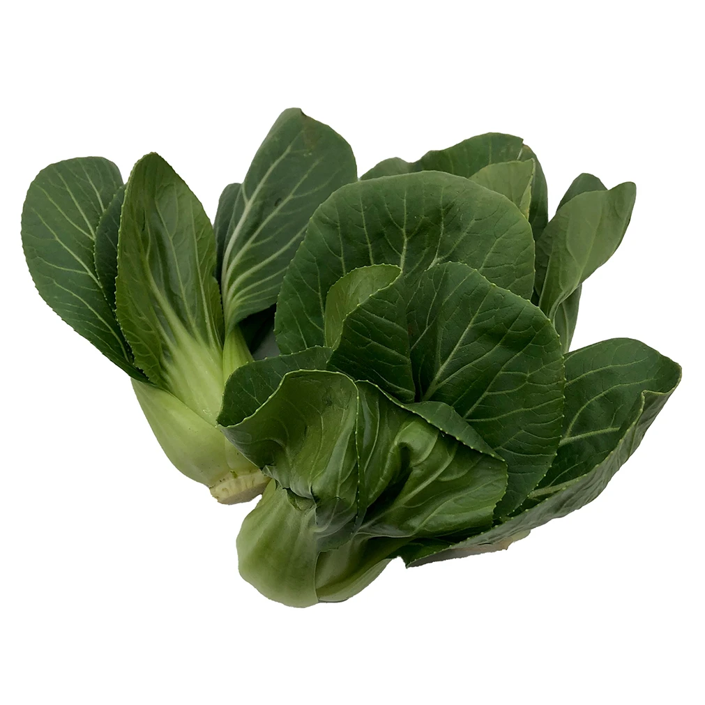 Imported Quality Super Fresh Cheap Price Box Packing Top Grade Selecting Other Fresh Vegetables Pak Choi Ready to Eat