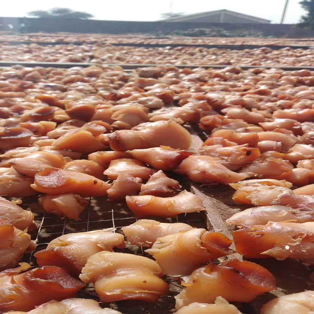 
Dried Conch-Frozen Conch-Dried Conch Meat Wholesale Delicious Good Quality Seafood Snacks 