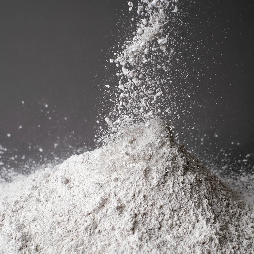 Lime High Purity Hydrated Lime/Ca OH 2 Calcium Hydroxide/Slaked Lime on Sale