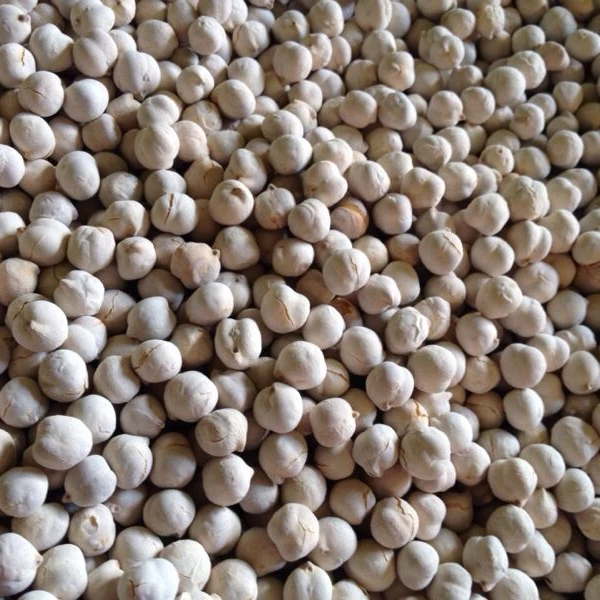 
White roasted chickpea with Turkish chickpeas 