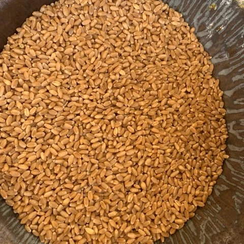 
CNF PRICE FOR GLUTEN FREE WHEAT 