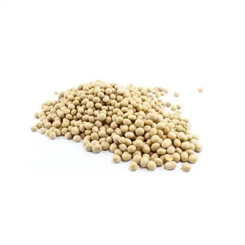 Soybeans /Soya Bean (8.0mm) with High Quality