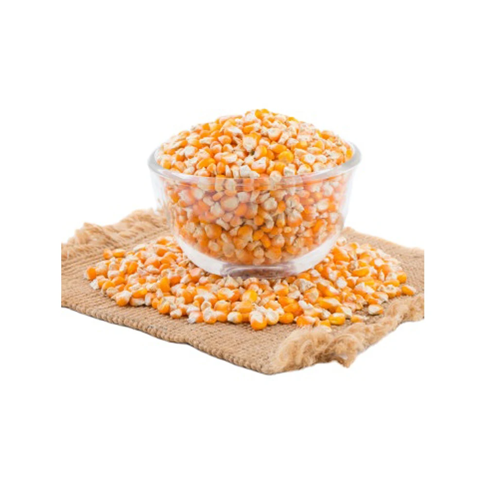 Yellow corn is use as food for animals / Dried corn seed at cheap price Viet nam