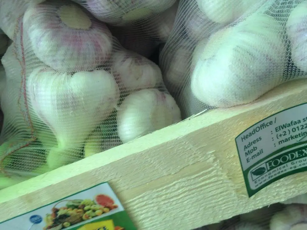 dry white & Purple  Garlic for export 2019