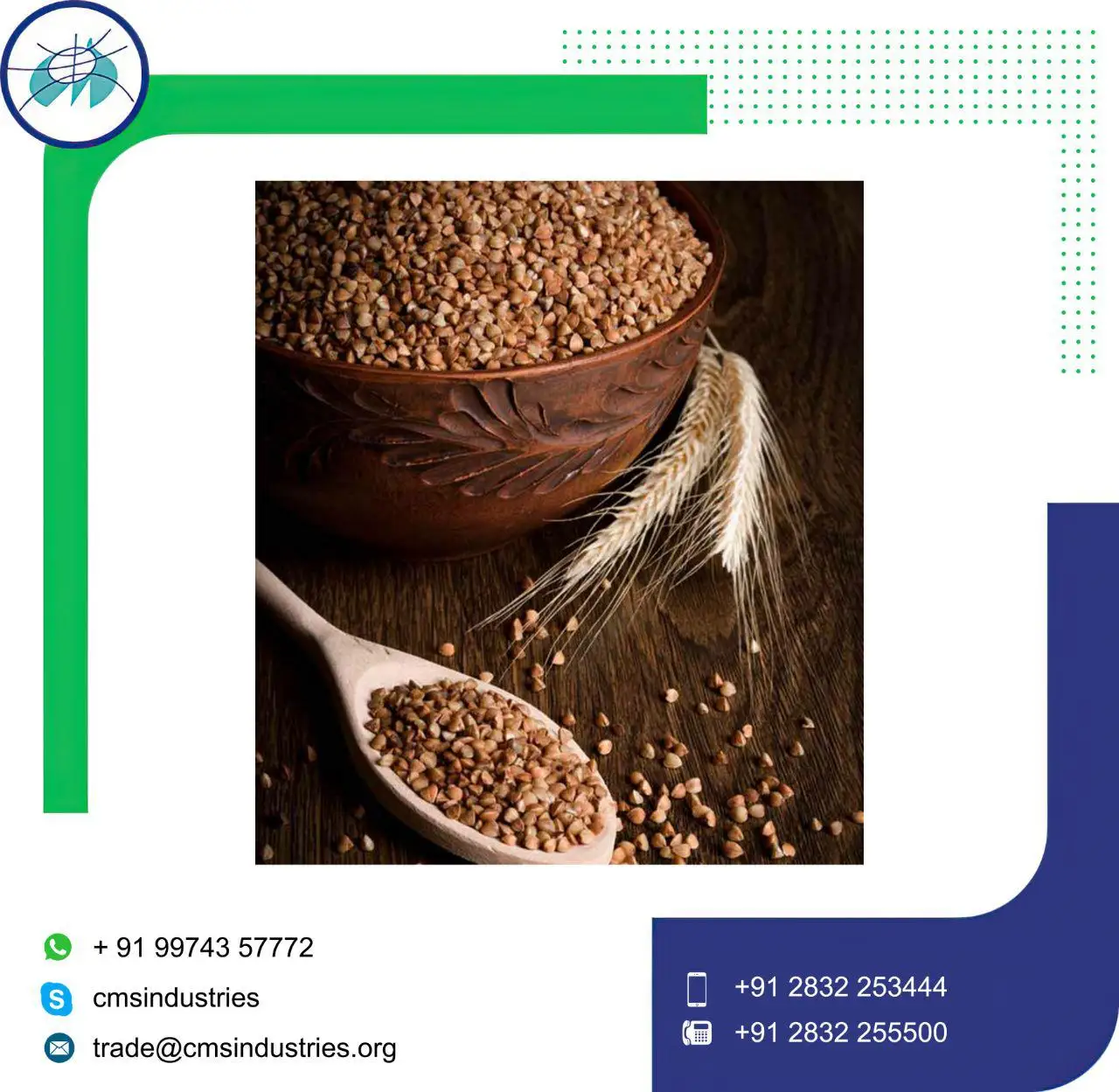  Сопоставимые Семена Гречихи