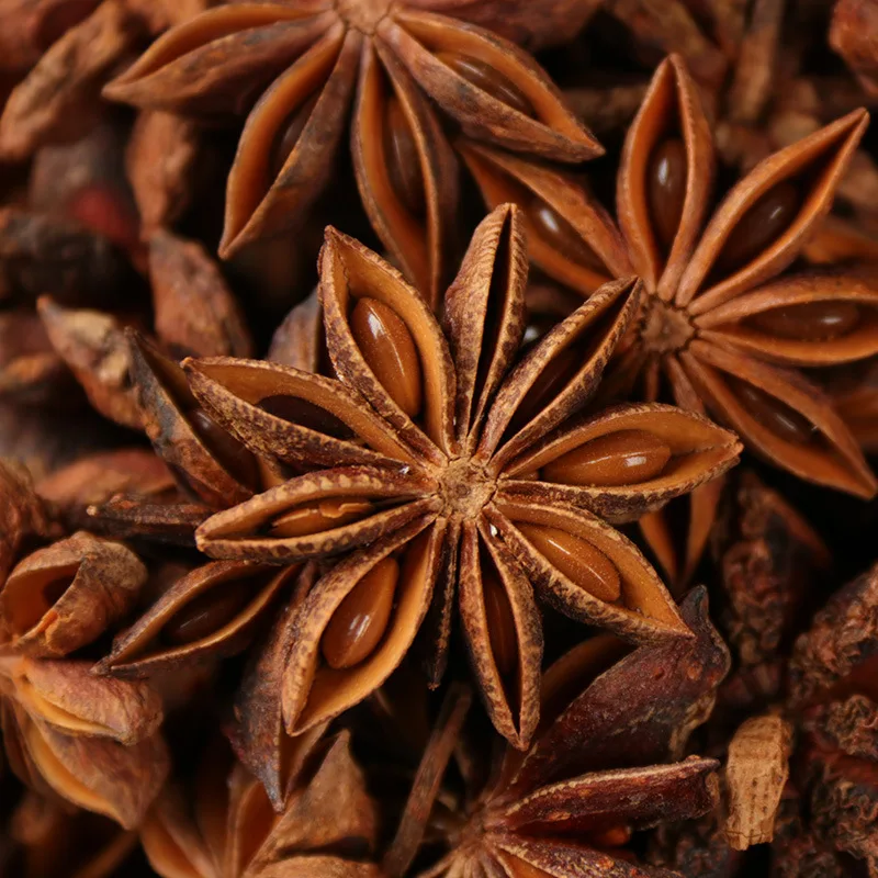 Exporters of Premium Quality Star Anise best quality in star aniseed whole sun dried star anise Single Herbs & Spices