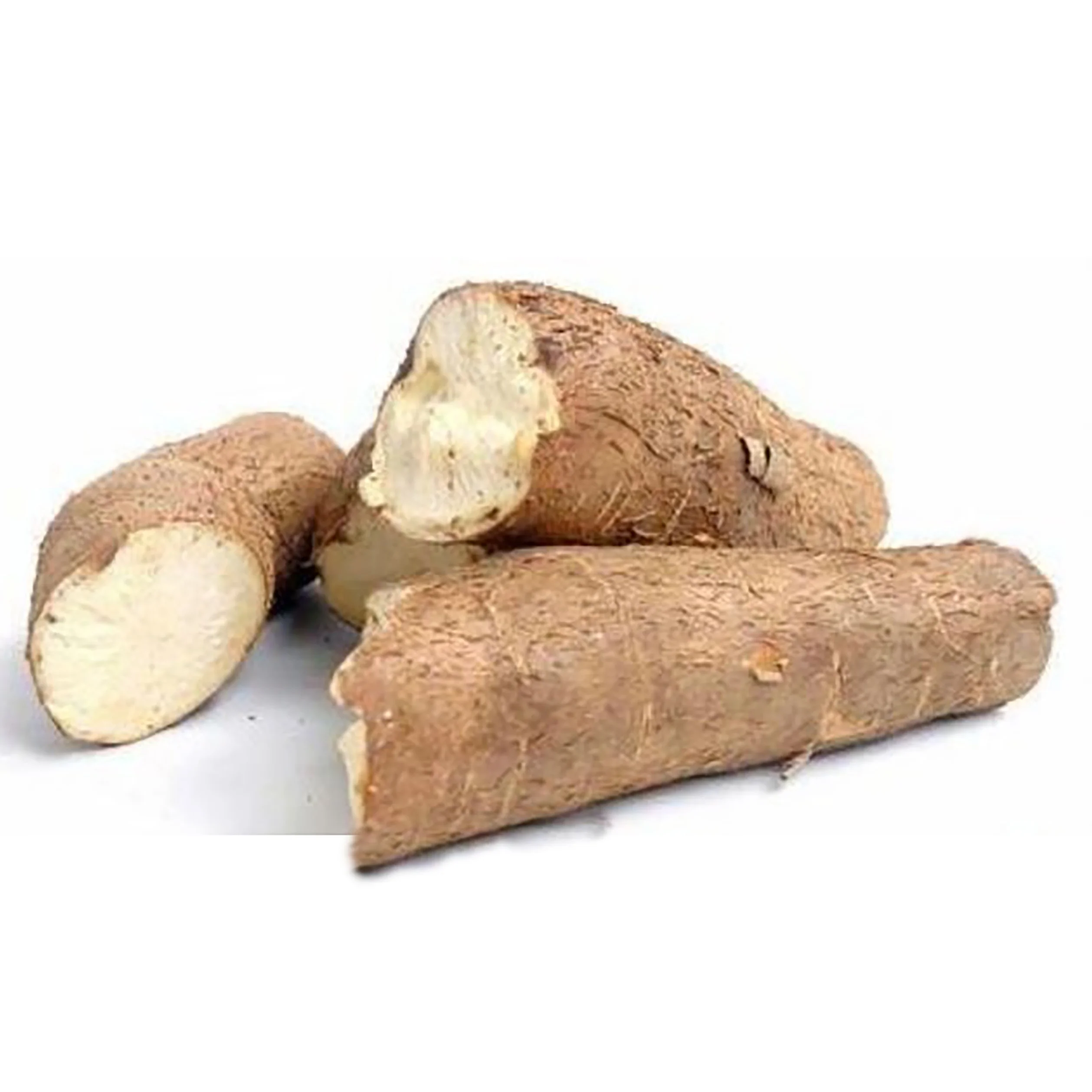 
Hot Selling Fresh Cassava In Large Quantity With Export Standard 