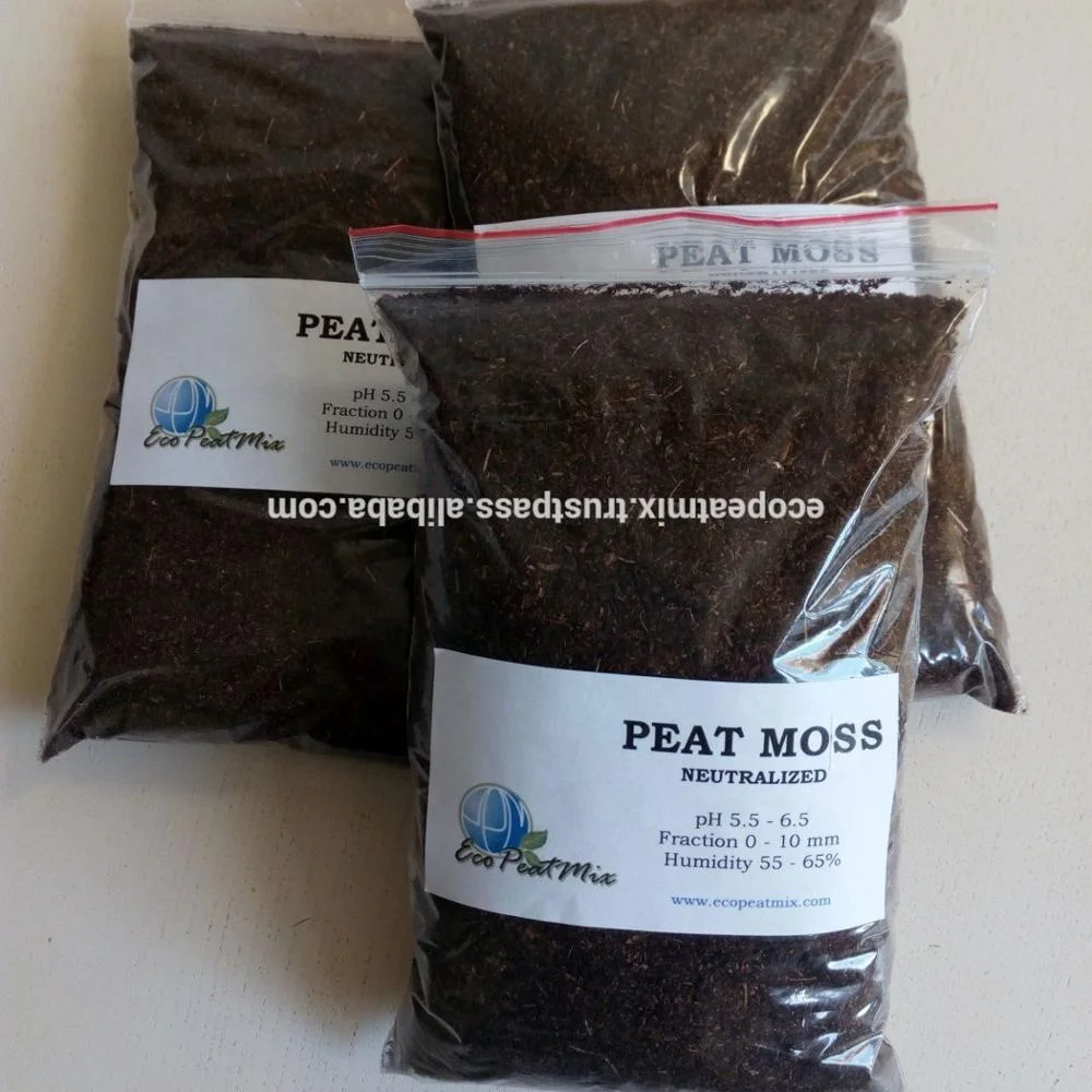 
Peat moss substrate 