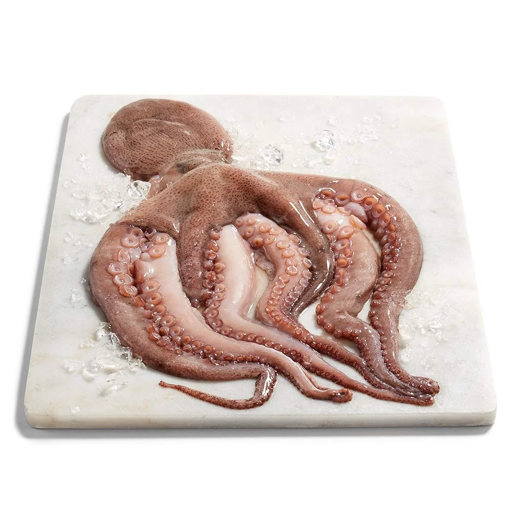 Frozen China Whole Round Pacific Squid Size U3/U5/U7 Squid Frozen Squid