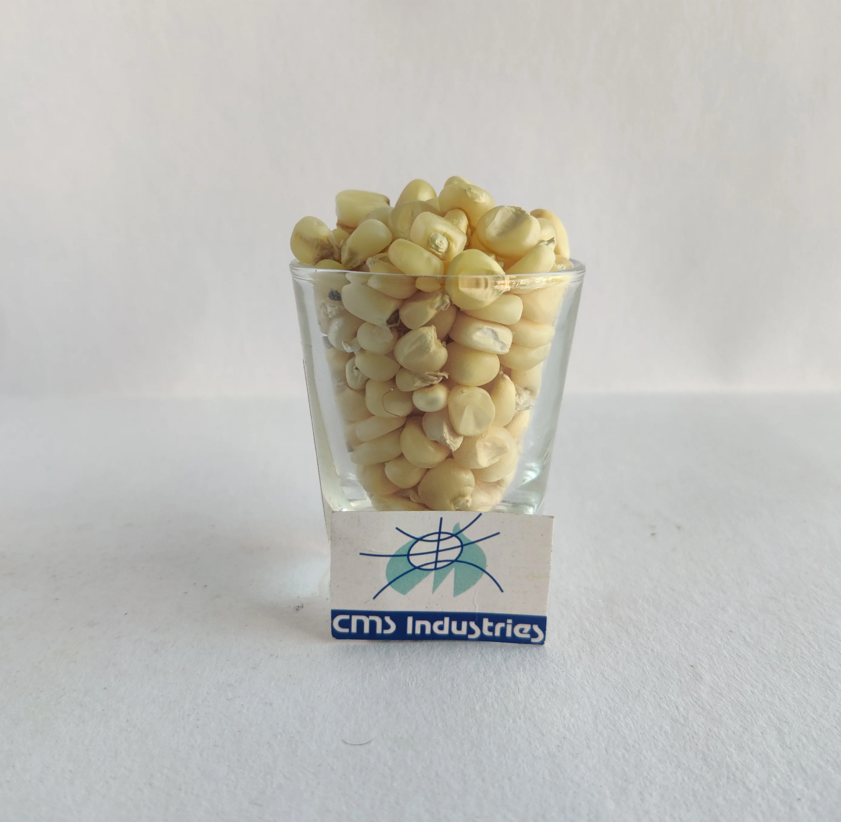 Золотой поставщик белой кукурузы или кукурузы