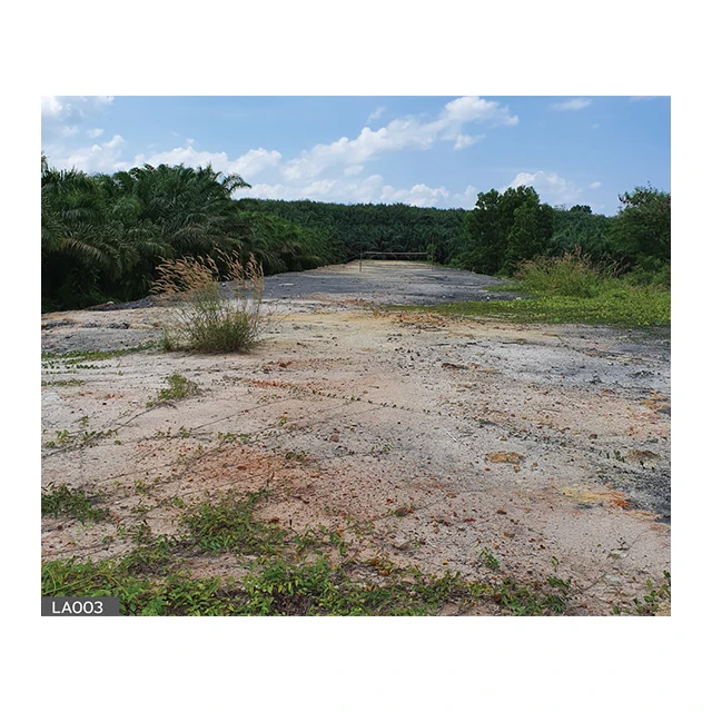 Land for Sale  Wiang Sa District  Surat Thani Thailand